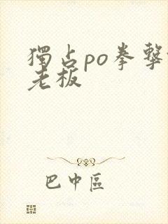 独占po拳击馆老板