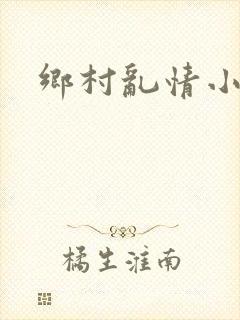 乡村乱情小说封面