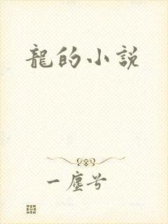 龙的小说