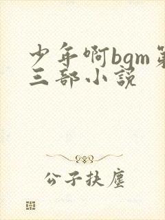 少年啊bgm第三部小说