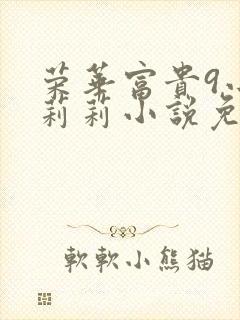 荣华富贵9小王莉莉小说免费阅读封面