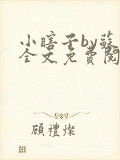 小瞎子by苏软全文免费阅读