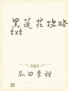 黑莲花攻略手册txt封面