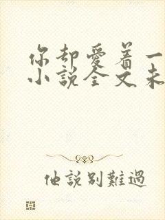 你却爱着一个他小说全文未删减免费封面