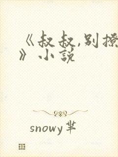 《叔叔,别撩我》小说