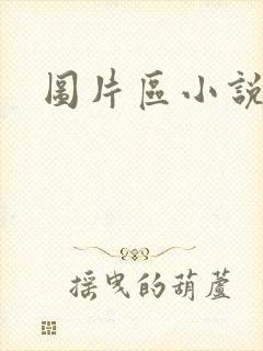 图片区小说区