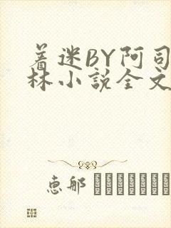 着迷BY阿司匹林小说全文免费阅读