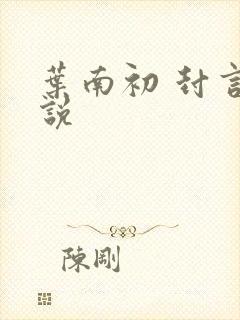 叶南初 封言小说封面