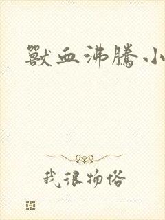 书籍封面