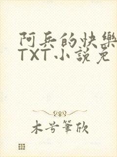 阿兵的快乐生活TXT小说免费阅读全章封面