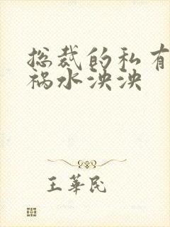 总裁的私有宝贝祸水泱泱