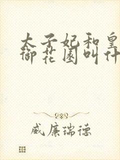 太子妃和皇帝在御花园叫什么小说