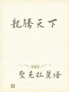 龙腾天下封面
