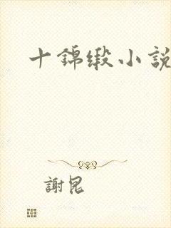十锦缎小说封面