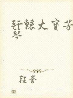 轩辕大宝芳菲雅琴