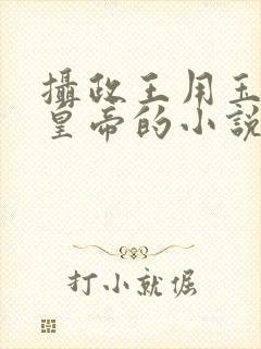 摄政王用玉髓整皇帝的小说