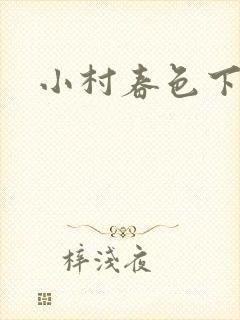 小村春色下载