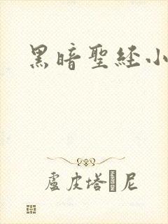 黑暗圣经小说