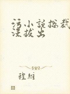 污小说总裁整夜没拔出