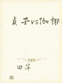 贞子vs伽椰子封面