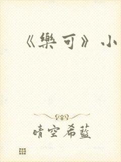 《乐可》小说封面