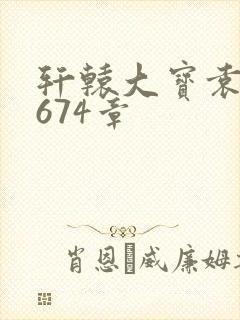 轩辕大宝袁雪妃674章