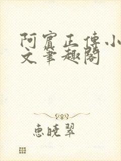 阿宾正传小说全文笔趣阁