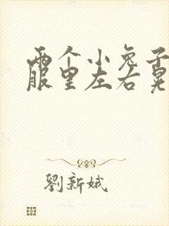 两个小兔子在衣服里左右晃封面