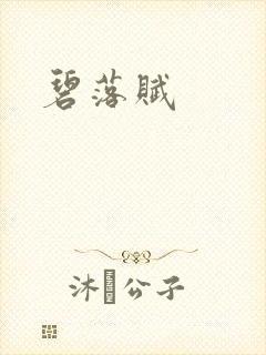 碧落赋封面