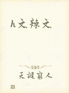 h文辣文封面