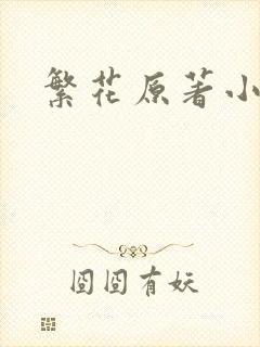繁花原著小说封面