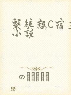系统想C宿主的小说