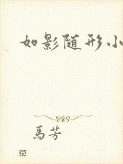 如影随形小说