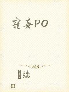 宠妾PO封面