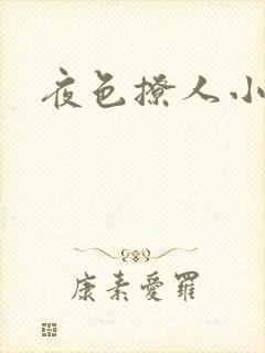 夜色撩人小说