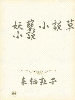 妖孽小说草莓酱小说