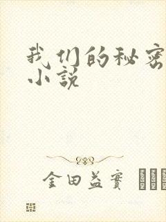 我们的秘密泰剧小说
