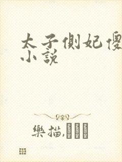 太子侧妃傻乎乎小说