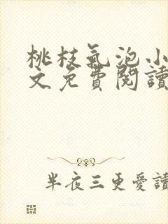 桃枝气泡小说全文免费阅读封面