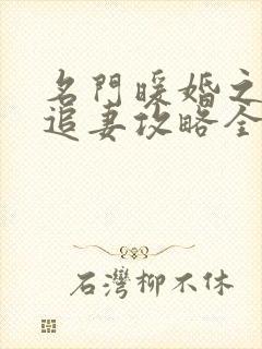 名门暖婚之权爷追妻攻略全文免费阅读