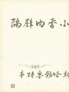 隔壁肉香小说