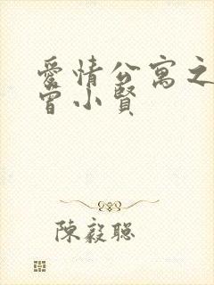 爱情公寓之极品曾小贤