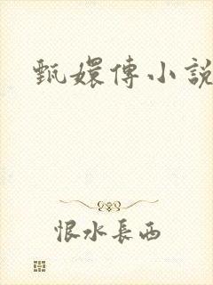 甄嬛传小说封面