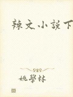 辣文小说下载