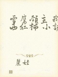 雪鹰领主 我吃西红柿 小说
