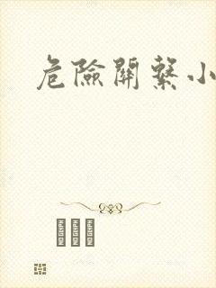 危险关系小说