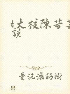 t大校陈若芸小说封面