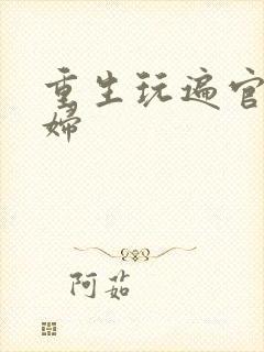 重生玩遍官场贵妇