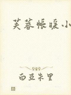 芙蓉帐暖小说封面