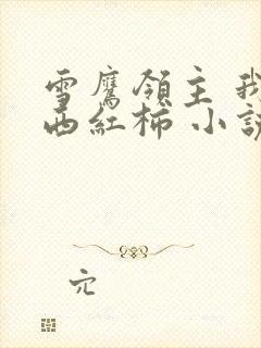 雪鹰领主 我吃西红柿 小说